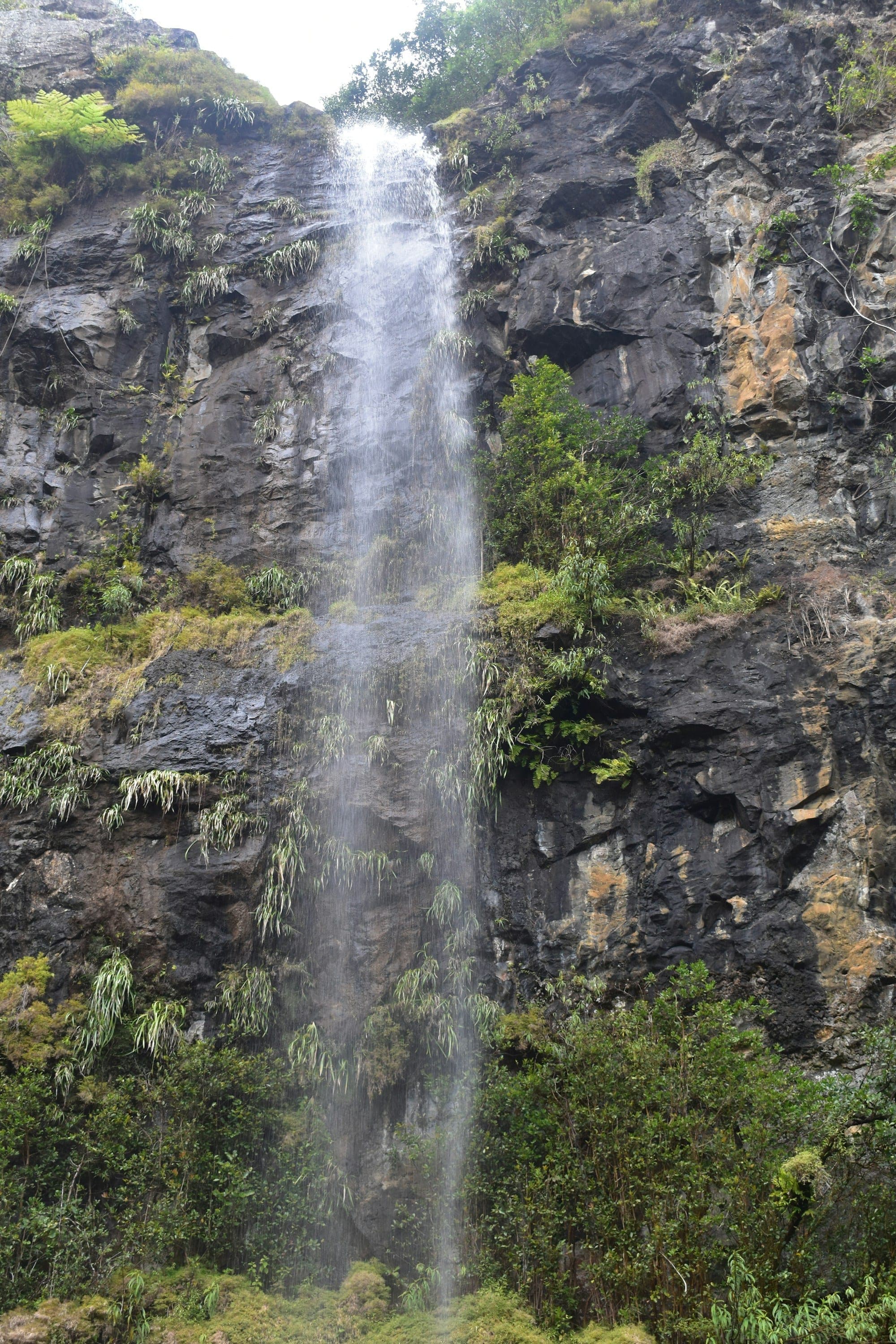 Black River Gorges