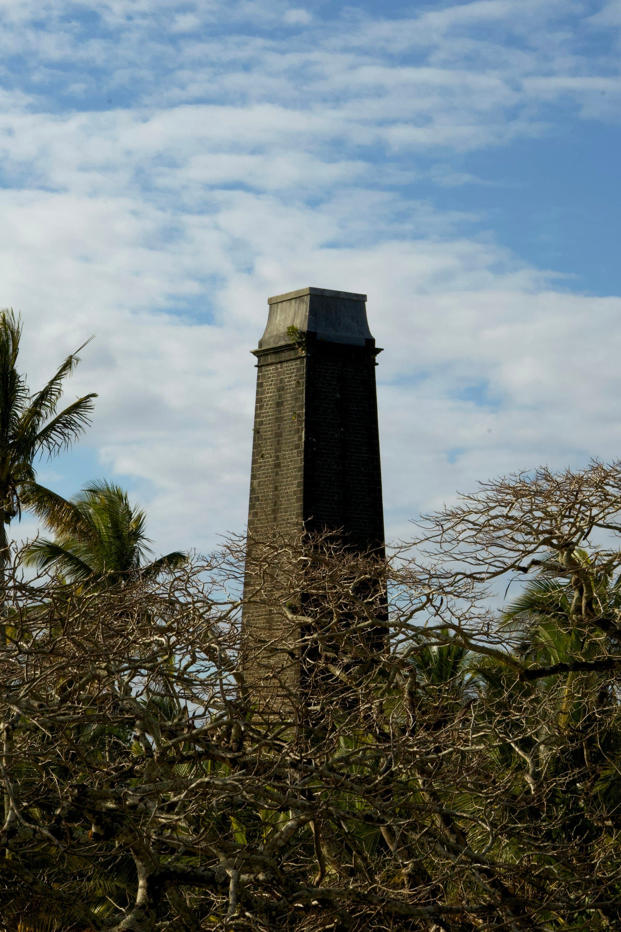 Bois Cheri Tea Factory