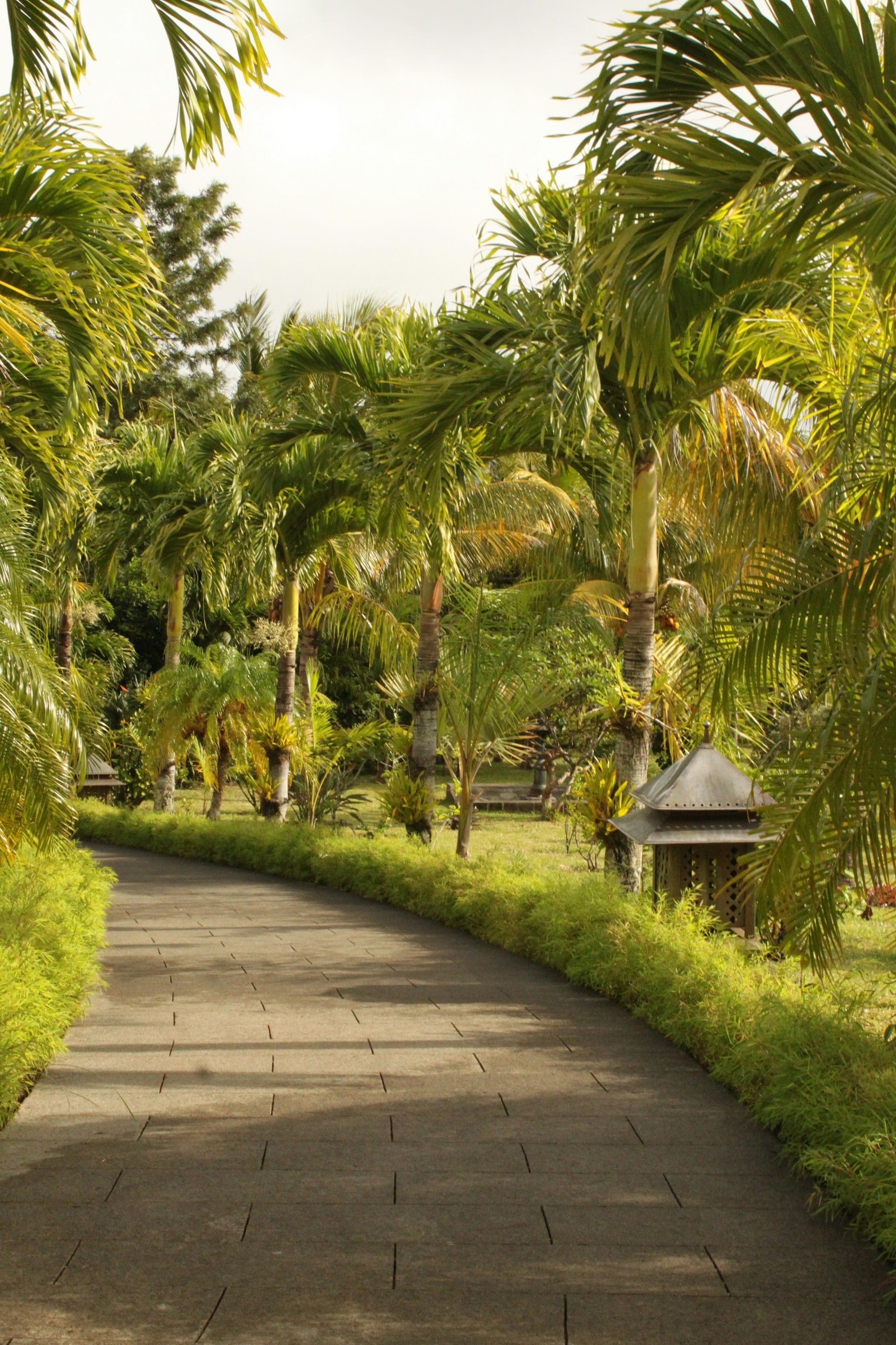 St Aubin Plantation